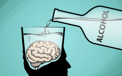 De effecten van alcohol op je hersenen